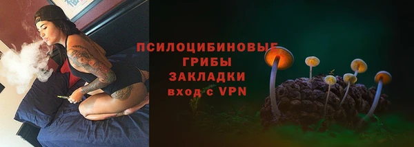 ГАЛЛЮЦИНОГЕННЫЕ ГРИБЫ Абдулино