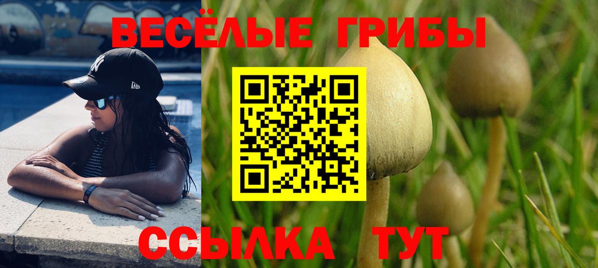 Галлюциногенные грибы MAGIC MUSHROOMS Лангепас
